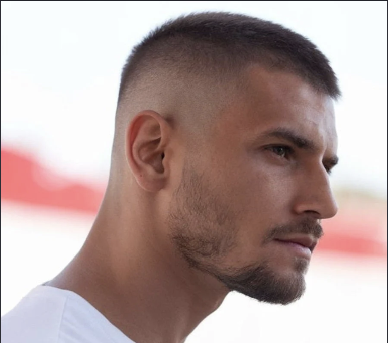 Corte